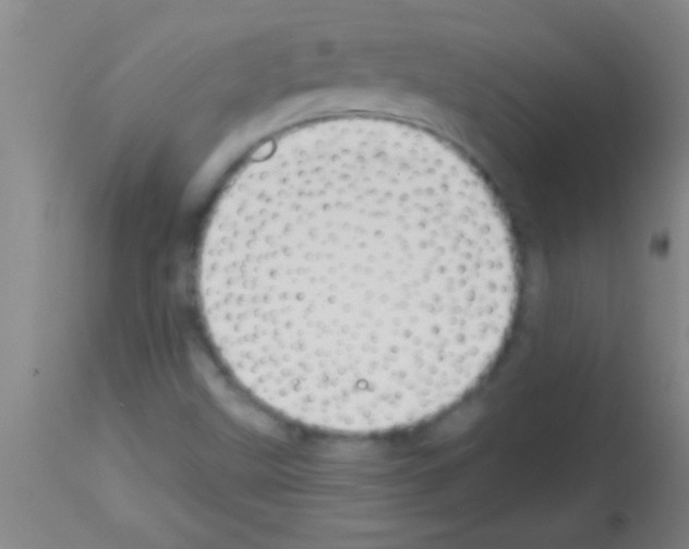 X0000113131499200910161119