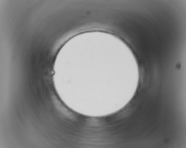 X0000113131500200910161119