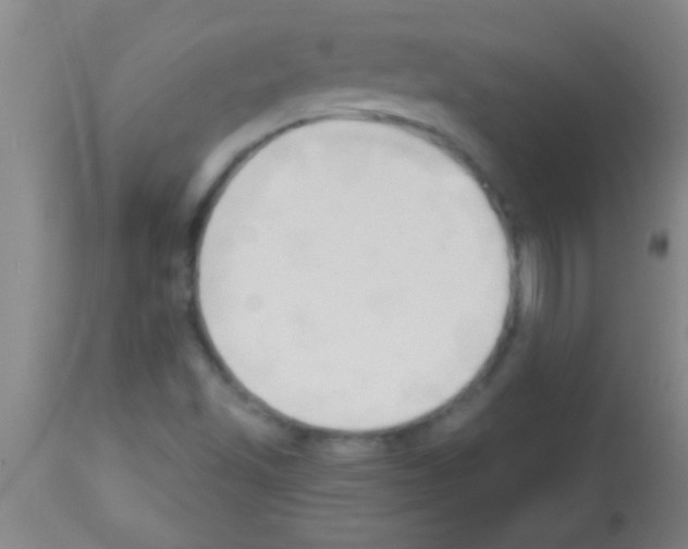 X0000113131501200910161119