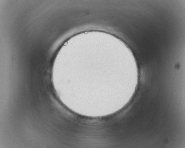 X0000113131502200910161119