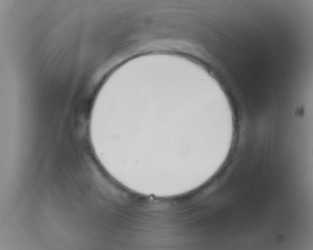 X0000113131505200910161119