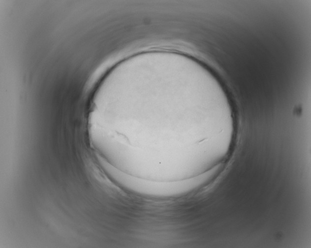 X0000113131506200910161119