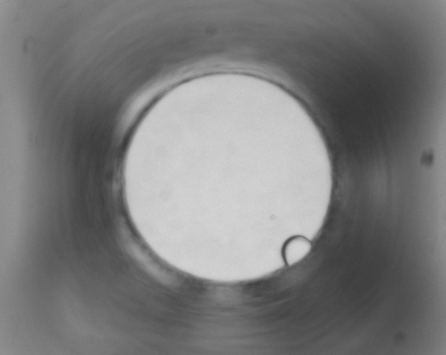 X0000113131511200910161119