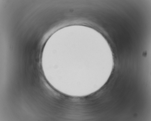 X0000113131512200910161119