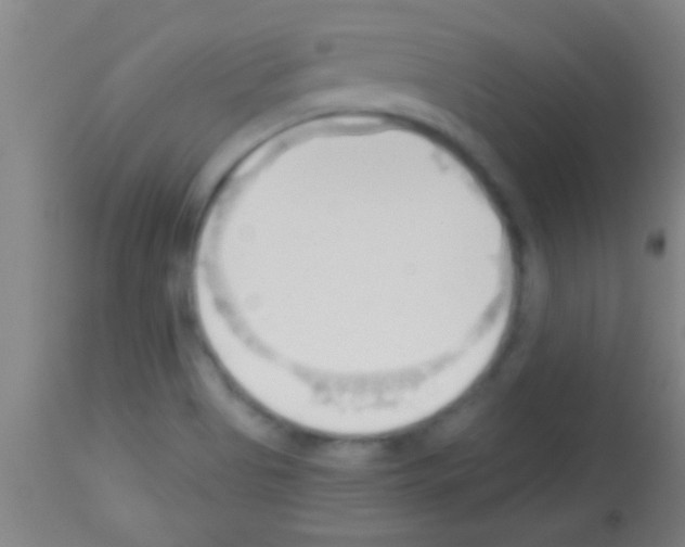 X0000113131513200910161119