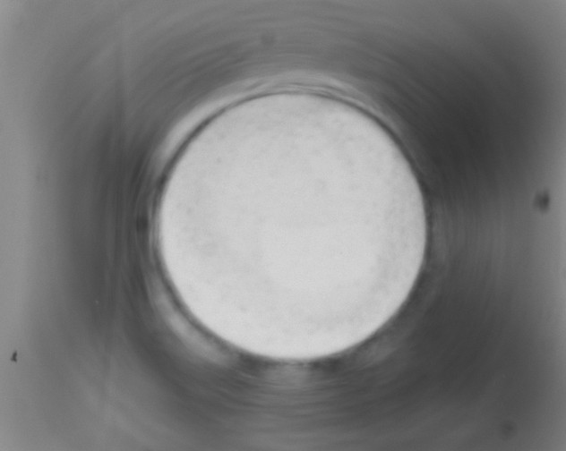 X0000113131515200910161119