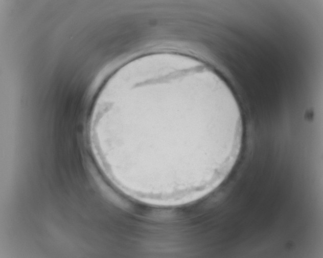 X0000113131517200910161119