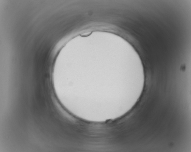 X0000113131520200910161119