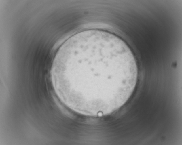 X0000113131521200910161119