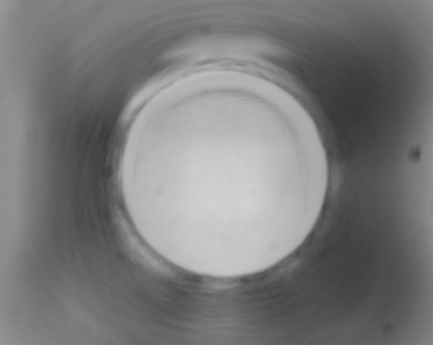 X0000113131522200910161119