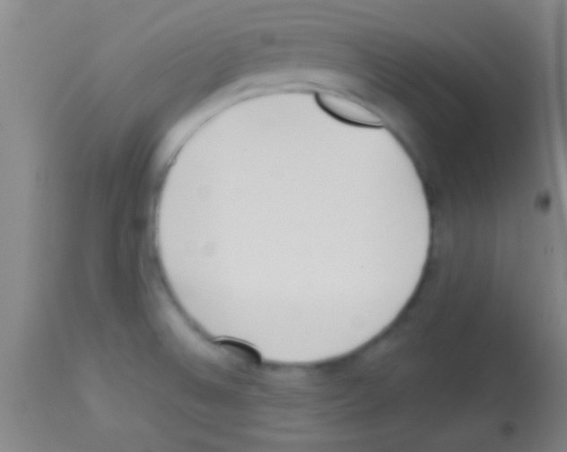 X0000113131524200910161119