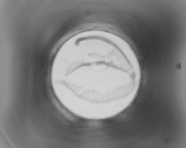 X0000113131525200910161119