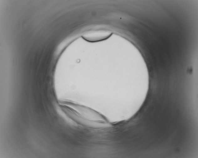 X0000113131527200910161119