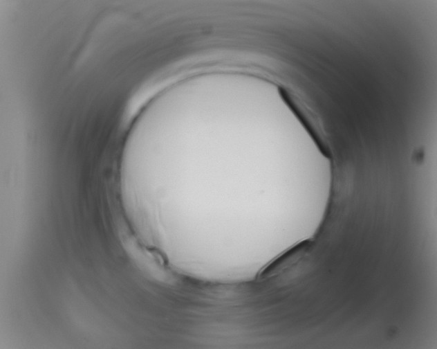 X0000113131530200910161119