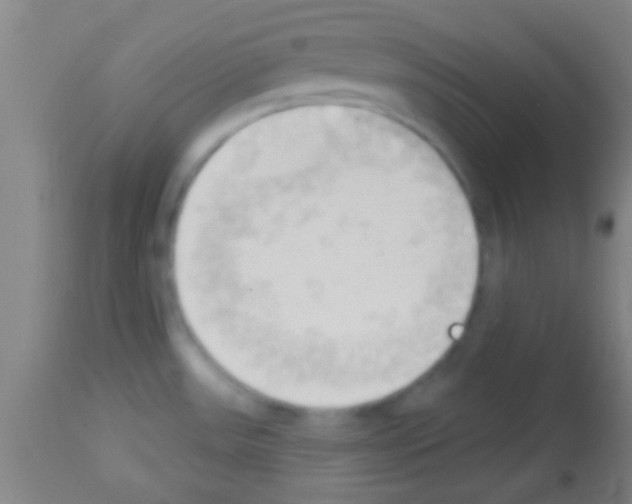 X0000113131531200910161119