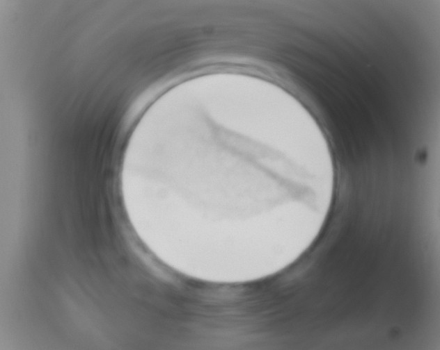 X0000113131533200910161119