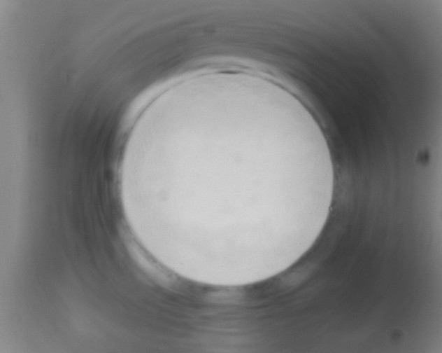 X0000113131535200910161119