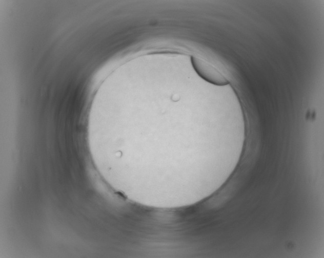 X0000113131536200910161119