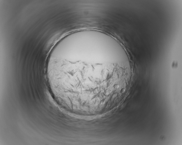 X0000113140002200909041008