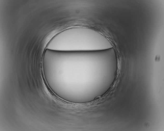 X0000113140003200909041008