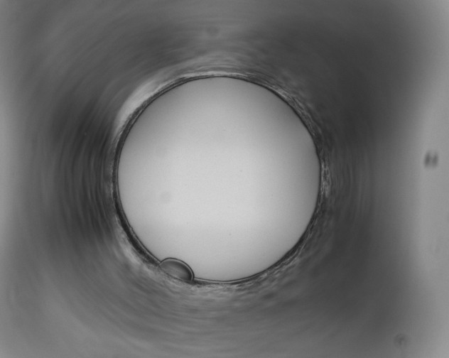 X0000113140004200909041008