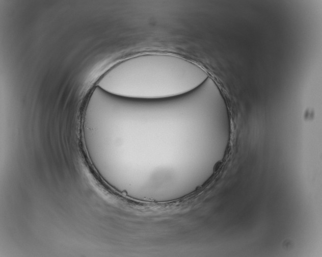 X0000113140005200909041008