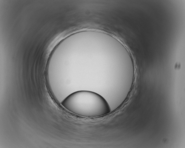 X0000113140007200909041008