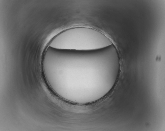 X0000113140008200909041008
