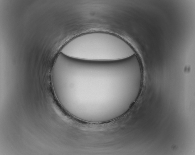 X0000113140009200909041008