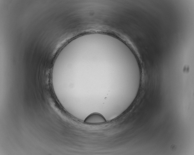 X0000113140010200909041008
