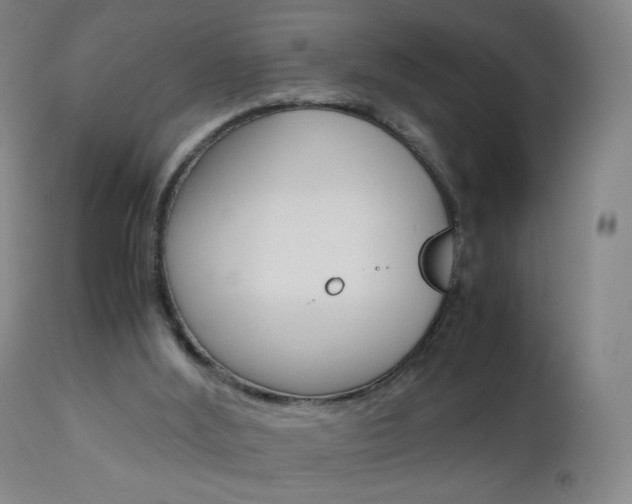 X0000113140012200909041008