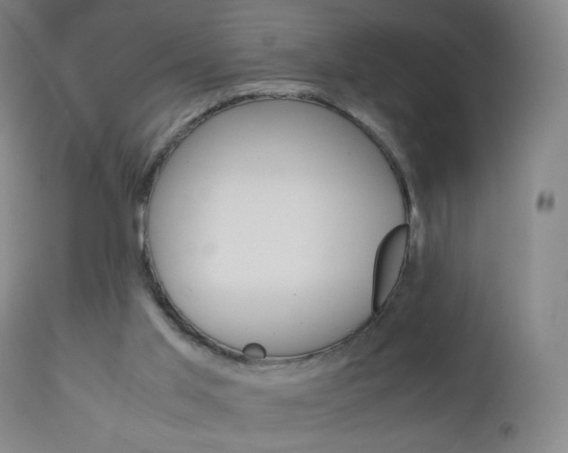 X0000113140013200909041008