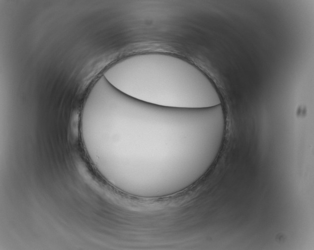 X0000113140014200909041008
