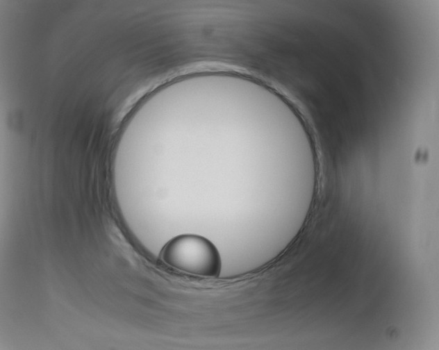 X0000113140015200909041008