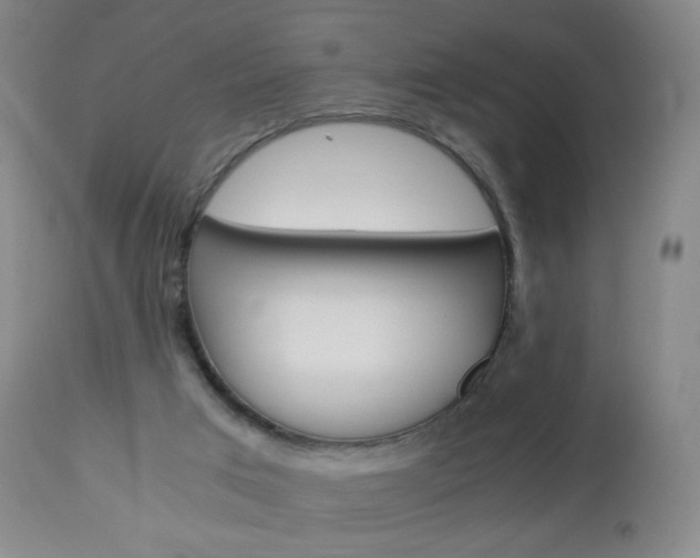 X0000113140017200909041008