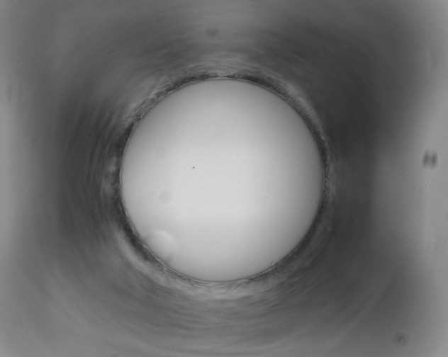 X0000113140018200909041008