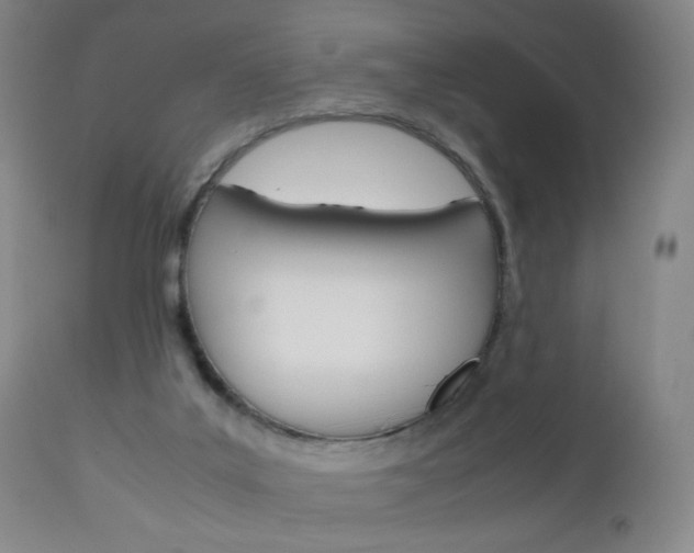 X0000113140019200909041008