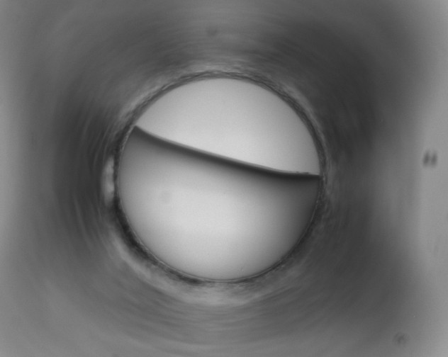 X0000113140020200909041008