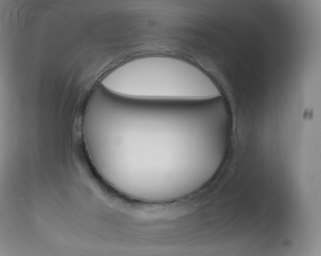 X0000113140021200909041008