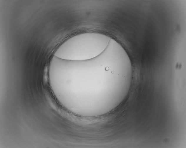 X0000113140022200909041008