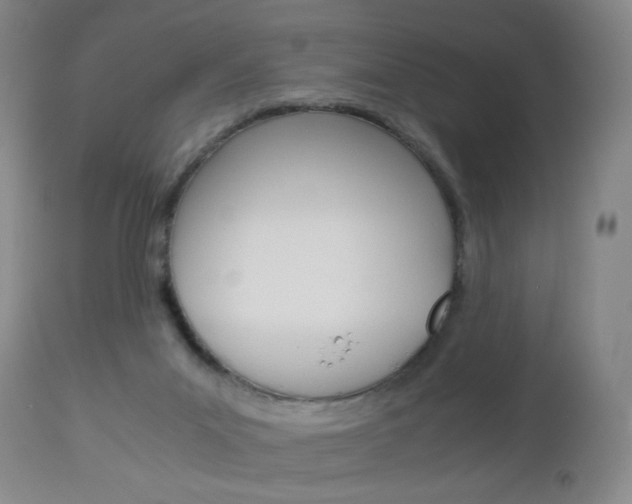 X0000113140023200909041008