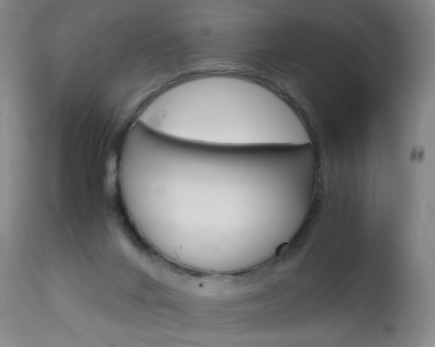 X0000113140024200909041008