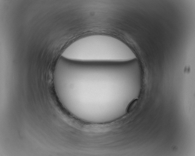 X0000113140025200909041008