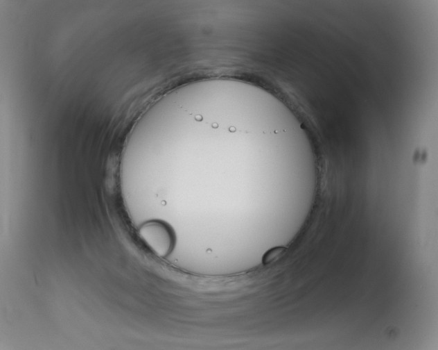 X0000113140026200909041008