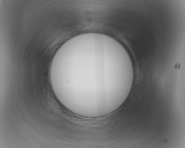 X0000113140027200909041008