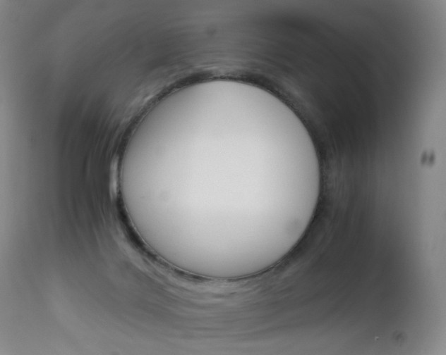 X0000113140028200909041007