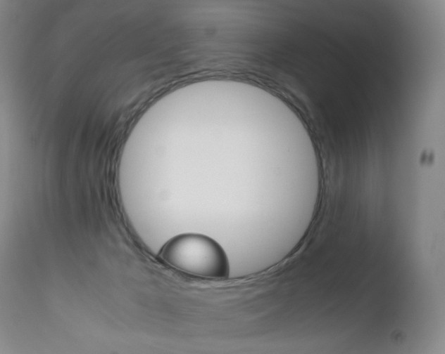 X0000113140029200909041007