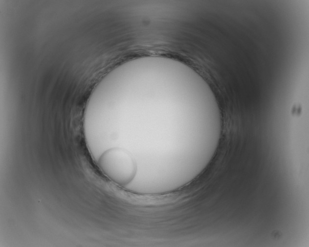 X0000113140030200909041007