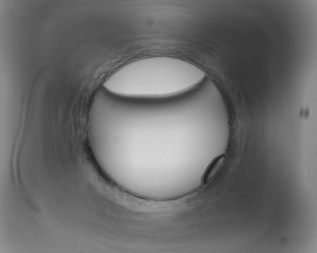 X0000113140031200909041007