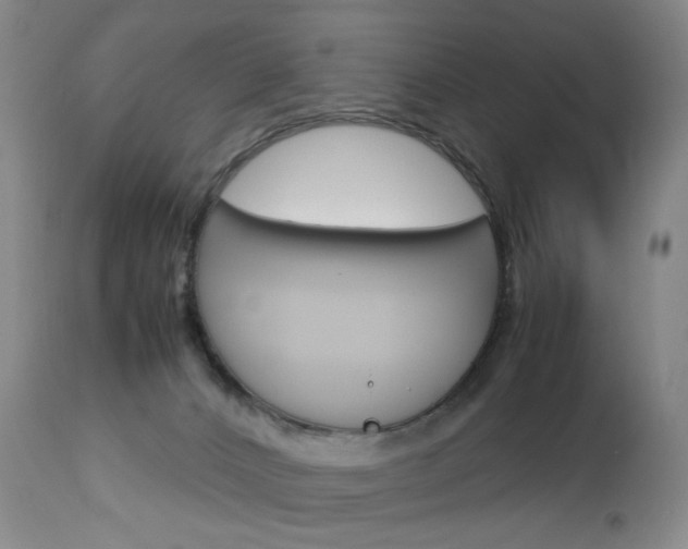X0000113140032200909041007